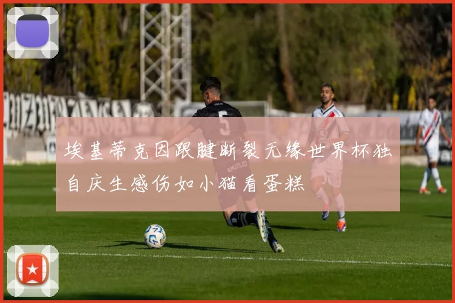 埃基蒂克因跟腱断裂无缘世界杯独自庆生感伤如小猫看蛋糕